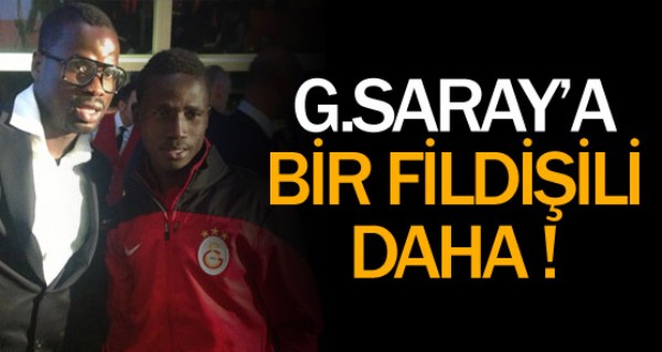 Galatasaray'a bir Fildiili daha